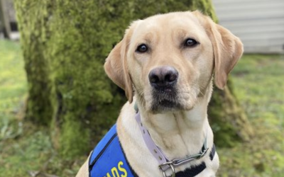 Senior Manager, Service Dog Programs |  Accepting Applications